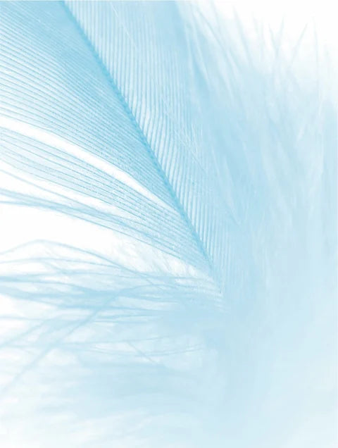 Kids Face Cream/Moisturizer Fragrance Free